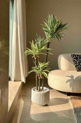 Artificial Indoor Plants from Concepts, Kozhikode