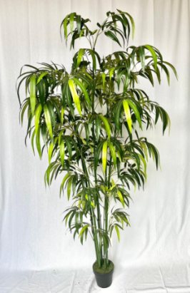 Artificial Trees from Concepts, Kozhikode