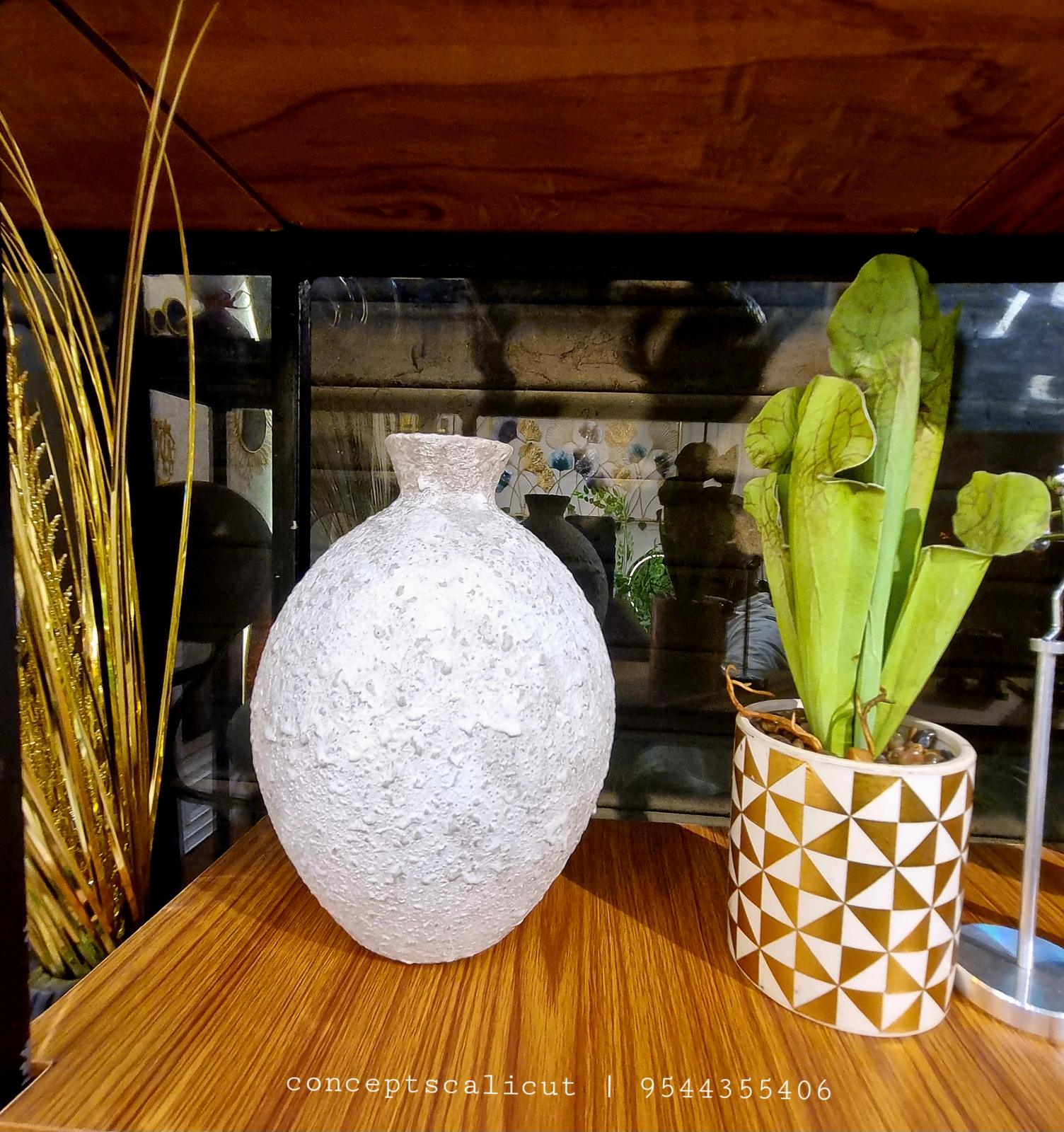 Pots & Planters at Concepts, Kozhikode